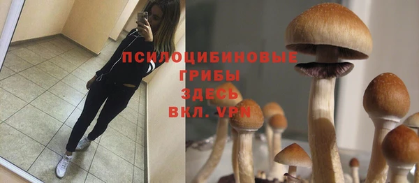 MESCALINE Абинск